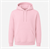 PALE PINK 2365